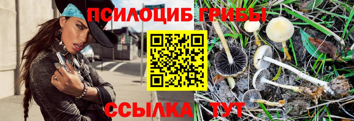 где можно купить наркотик  Вход с VPN  Лиски  Псилоцибиновые грибы Psilocybine cubensis  Псилоцибиновые грибы Psilocybine cubensis 
