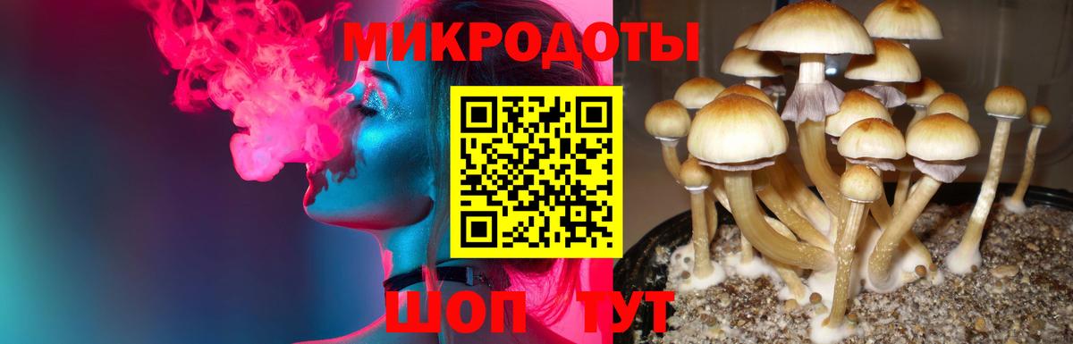 Галлюциногенные грибы ЛСД Лиски